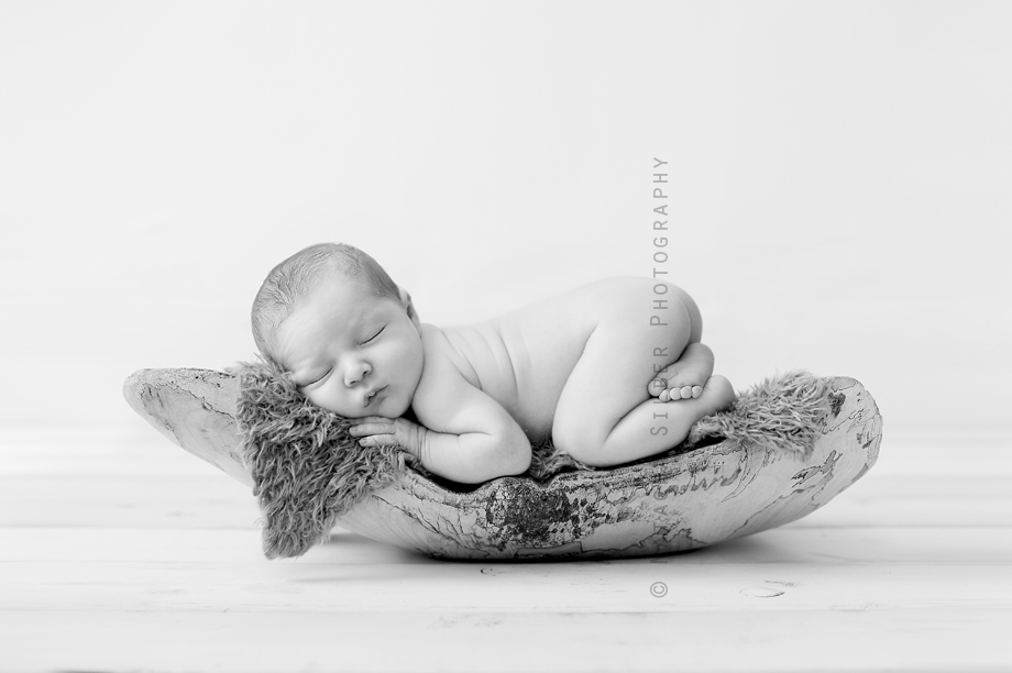 _DSC5185bwblog
