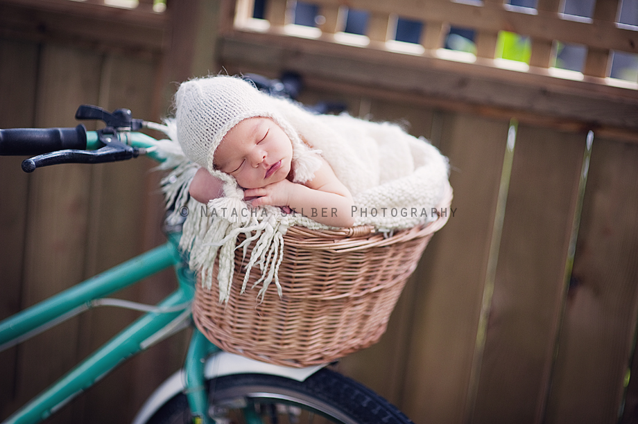 _DSC5501cproof