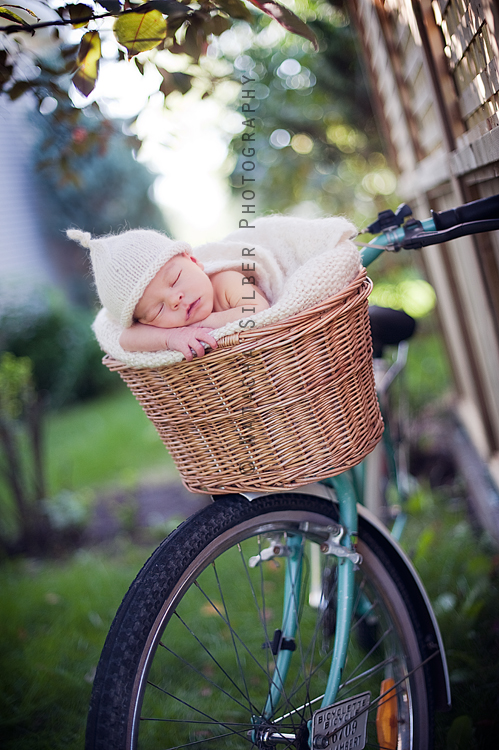 _DSC5553cproof
