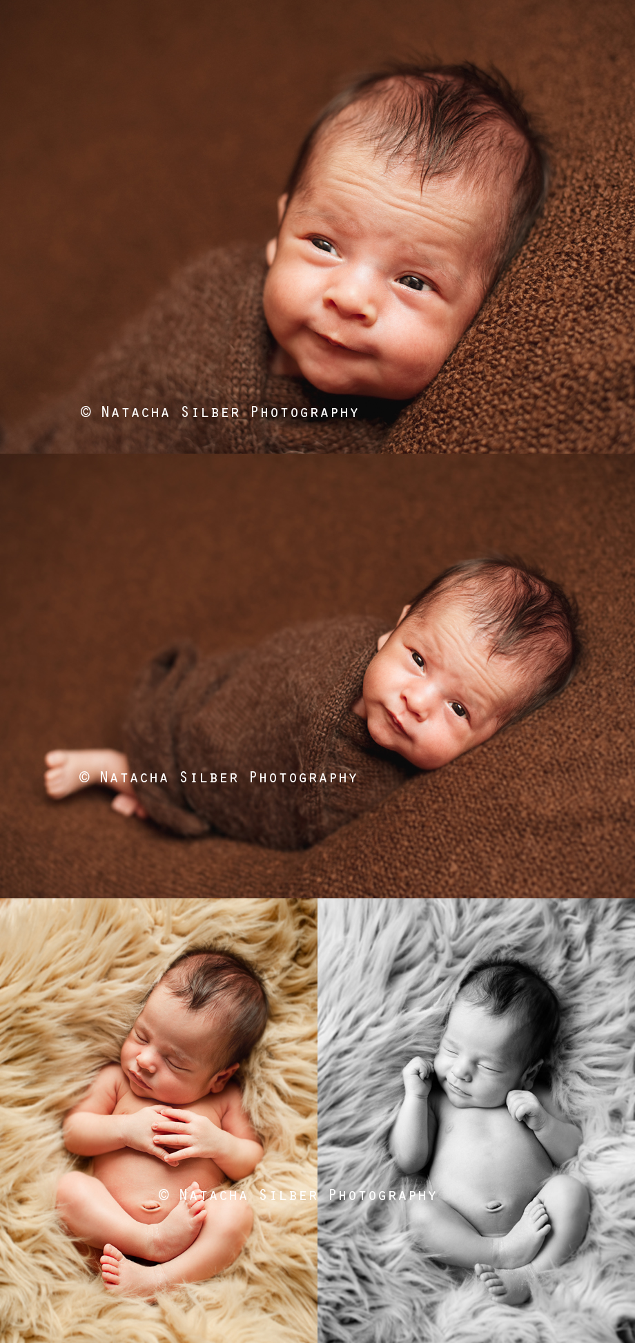 Natacha Silber, Newborn Photographer