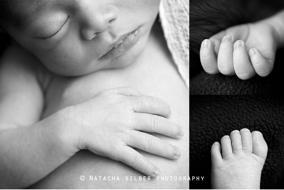 Natacha Silber Newborn Photographer